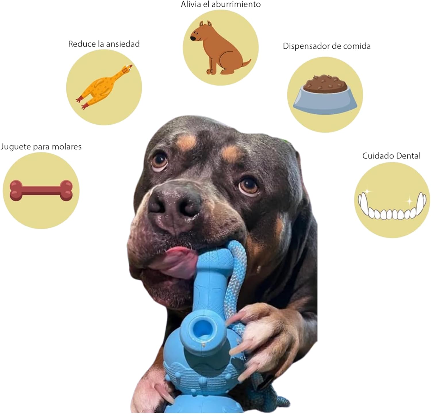 Puff Palz - Tug & Toke Juguete de Goma para Perros con Cuerda | - Imagen 2